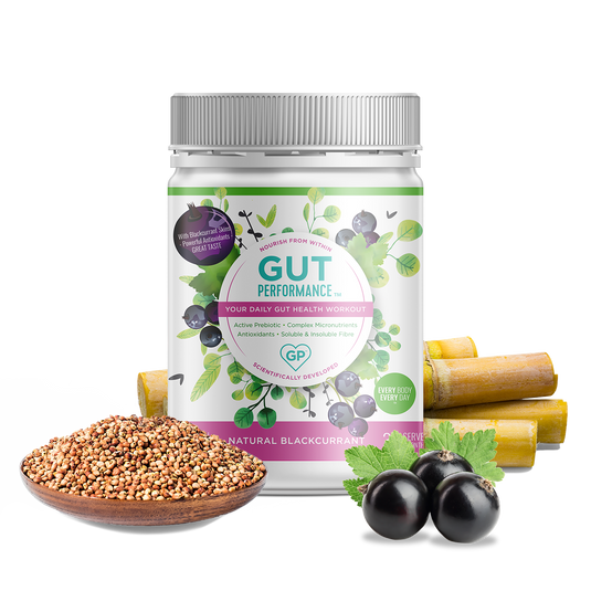 GUT PERFORMANCE 30 SERVES - BLACKCURRANT