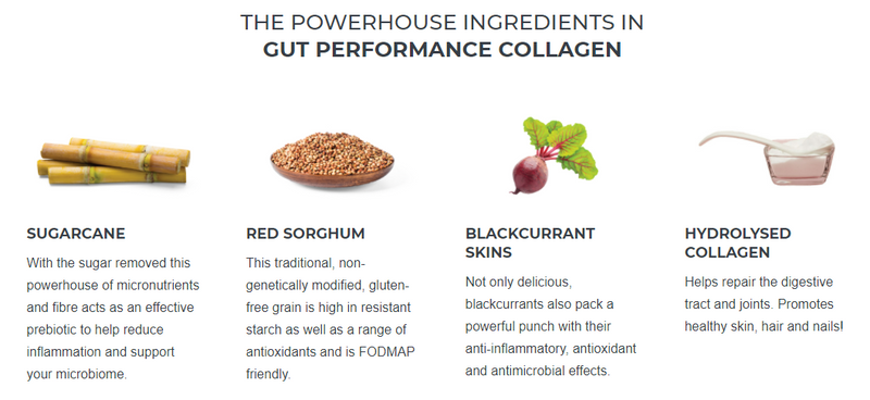 Load image into Gallery viewer, GUT PERFORMANCE COLLAGEN - BLACKCURRANT
