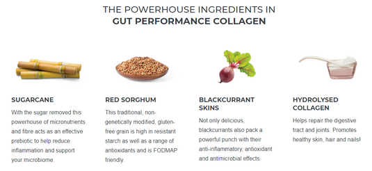 GUT PERFORMANCE COLLAGEN - BLACKCURRANT